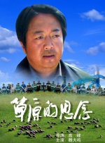 五月情网